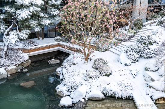 探寻当代豪宅的收藏级标准与极致产品主义(图9)