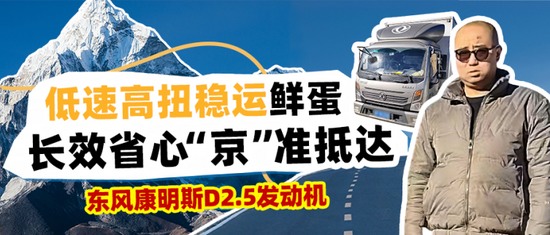 高效干线运输新标准：一体化动力链如何实现智能节油与可靠运营(图33)
