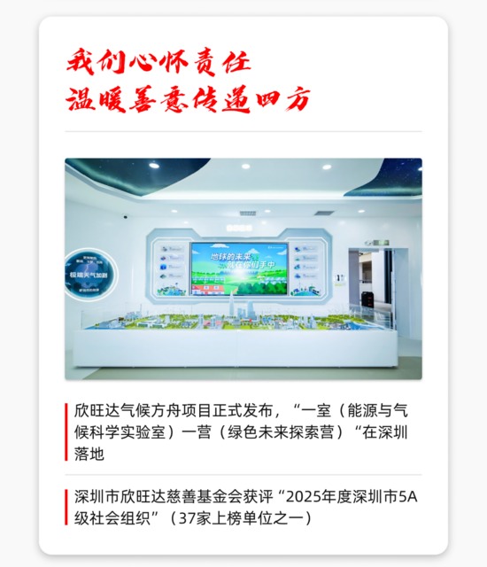 回顾年度发展历程，解析战略布局与市场突破(图8)