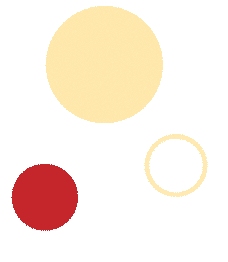 营销体系培训圆满落幕，多维赋能锻造精兵迎战新征程(图3)