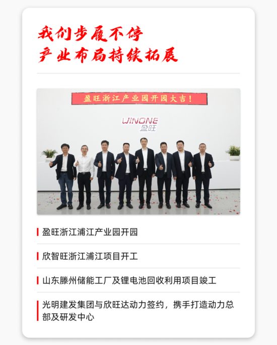 回顾年度发展历程，探寻企业增长动能与战略布局(图2)